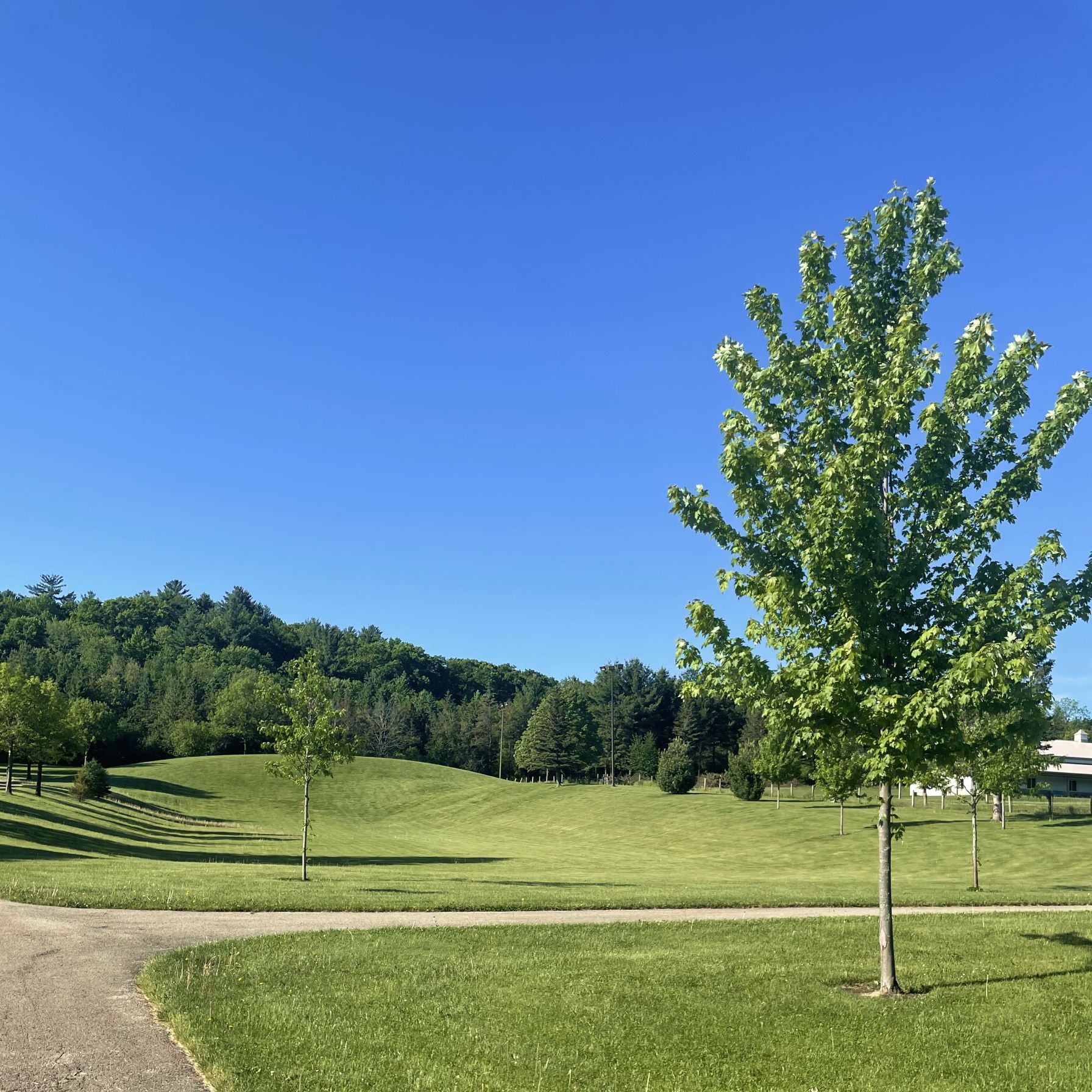 Lunda Park, BRF